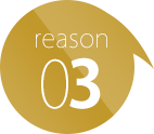 reason03